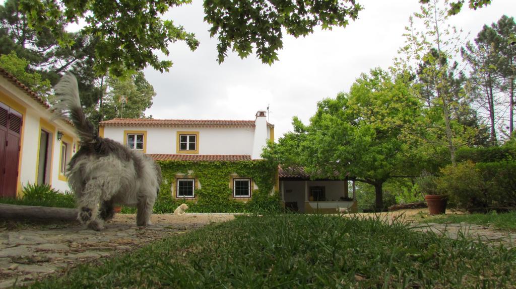 Quinta Do Troviscal Villa Castelo do Bode Buitenkant foto