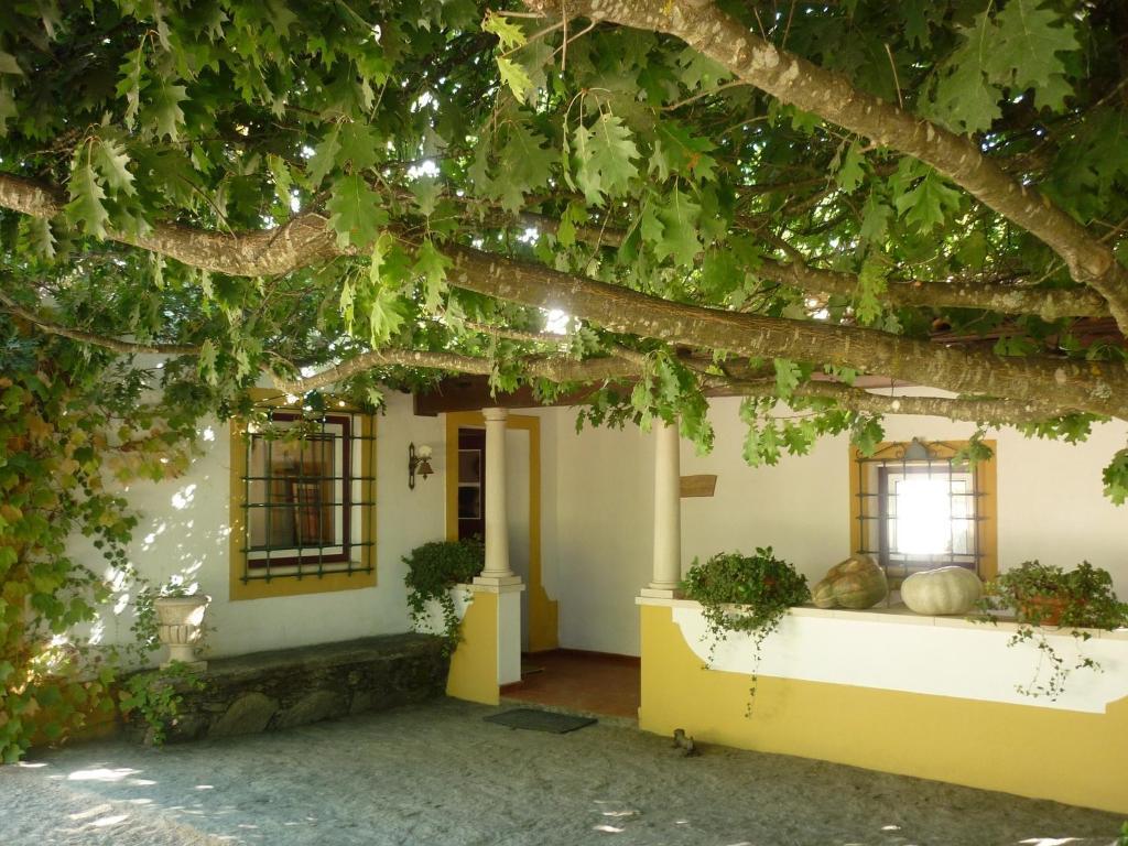 Quinta Do Troviscal Villa Castelo do Bode Buitenkant foto